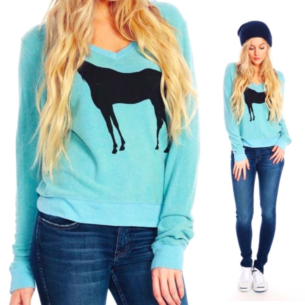 NWT Wildfox Horse Silhouette Baggy Beach Jumper in Rain Drop Blue Size Small